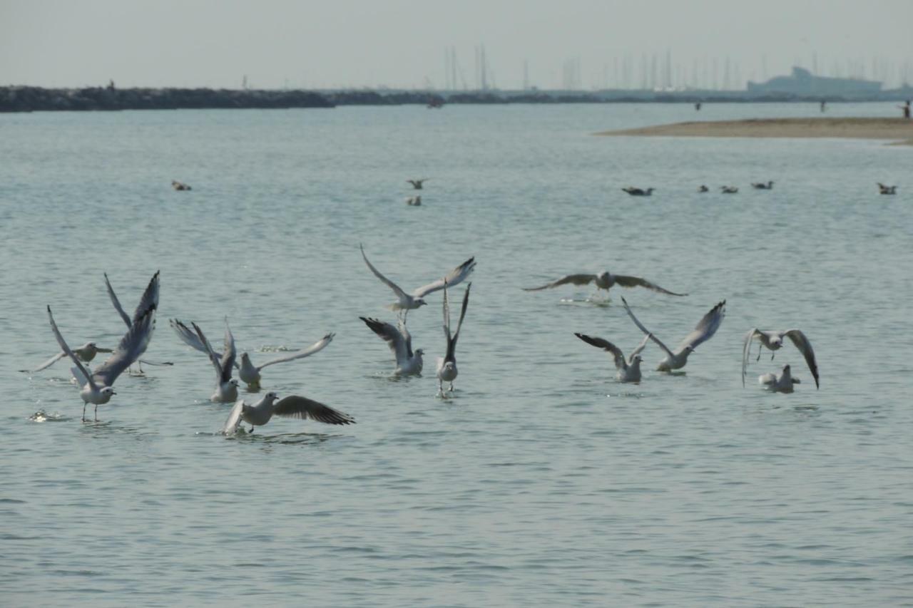 Appartamento Interno 132 Porto San Giorgio Esterno foto